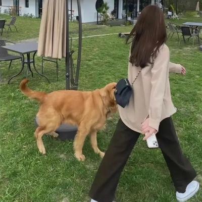 生活是你的所有