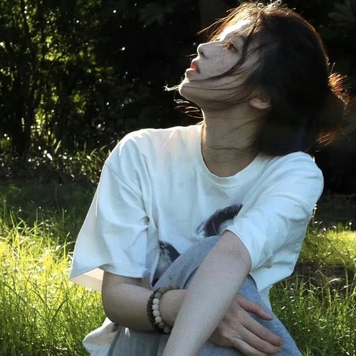 情系洛川红苹果